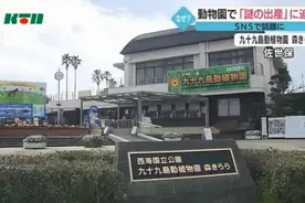火爆日本全网的“奇案”：她到底是怎么怀孕的？孩子生父是谁？图片