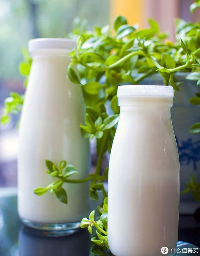 法国塑身体乳哪个品牌好