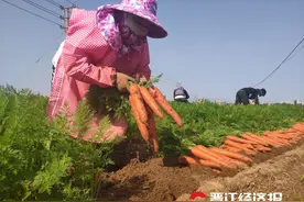 恭喜｜晋江东石镇！图片