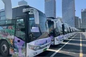 @贵阳人“平坝樱花景区直通车”开通了图片