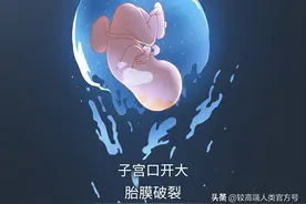 你出生前的24小时，都经历了什么？图片