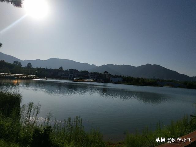 每日医药——赖氨酸