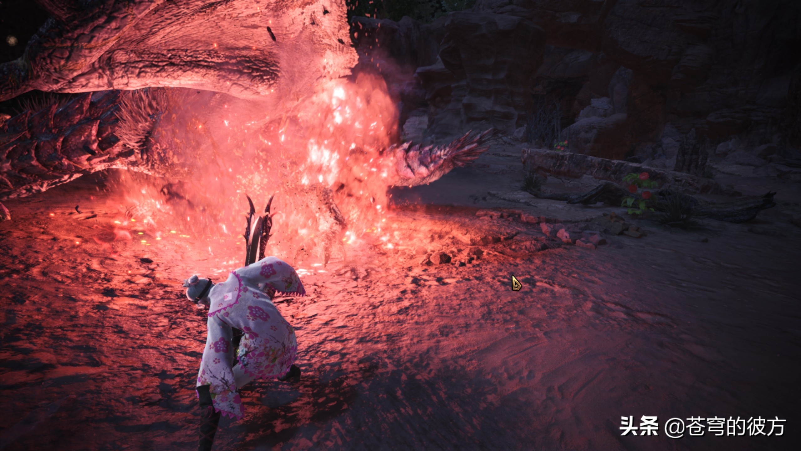 怪物猎人世界 帅气与喜感的结算图