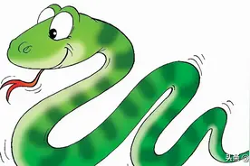 野外几乎看不到蛇的尸体，蛇真能通过脱皮“长生不老”？图片