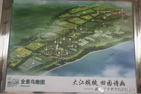 百校百企 兰岛都市田园综合体考察图片