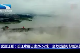 武汉江夏：长江水位已达26.52米 全力以赴打好防汛战视频封面