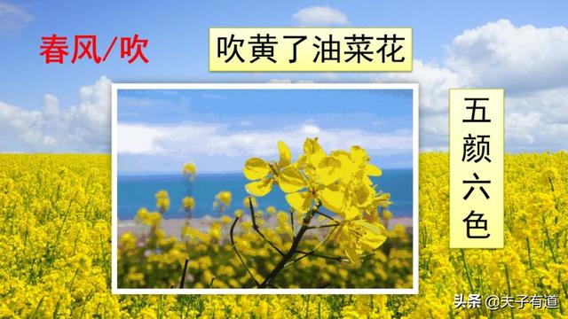 部编版一年级下册语文《春夏秋冬》知识点+图文讲解，给孩子预习