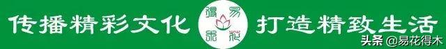 武竹又叫狐尾天门冬，观花观叶观果，和文竹观赏价值不相上下