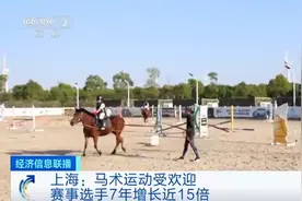 惊呆！买一匹马便宜的也要30万元，下一个风口，“马”上来？图片