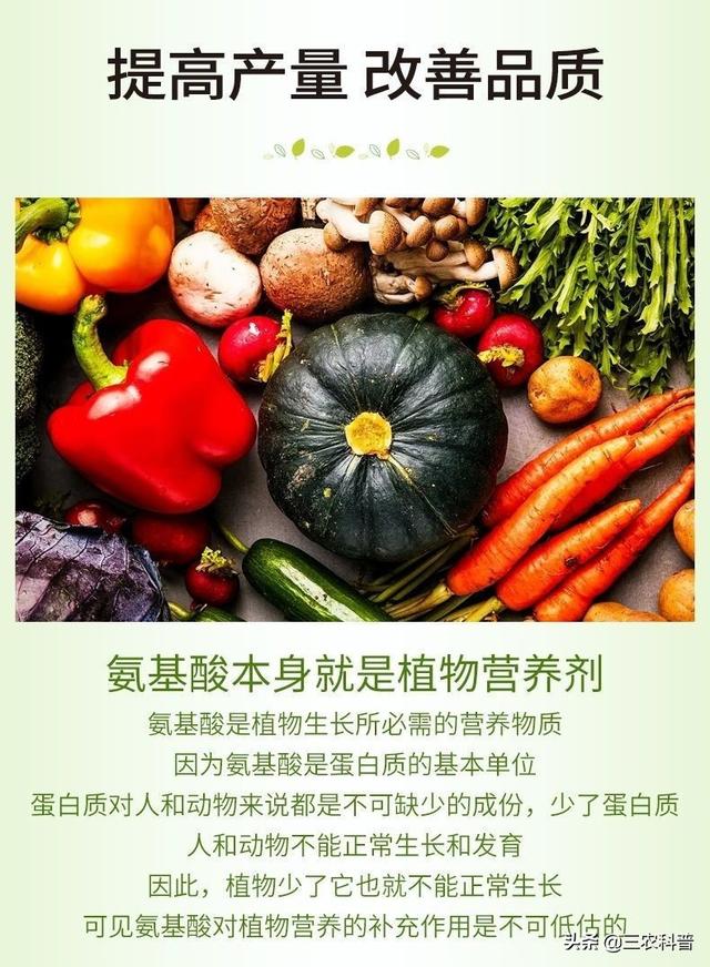 氨基酸是个好东西，农户却不会选，浪费了很多钱，对产量也有影响