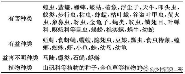 牛蛙的人工高效养殖技术