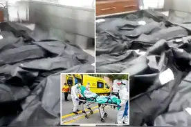 西班牙护士拍自己在尸体袋间行走视频，称很多死者已无法对应身份图片
