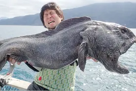 核辐射有多恐怖？日本福岛核电站周边渔村，突现变异章鱼图片