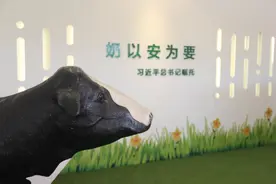 一滴牛奶背后的“超级力量”图片