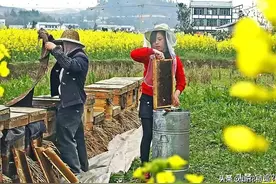 普通消费者真的能评判蜂蜜真假吗？市场上的假蜂蜜是谁造出来的？图片