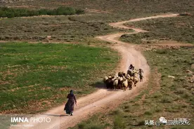 伊朗伊斯法罕地区的游牧民族生活图片