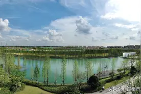 奇意大看点：万科莱茵半岛周六认筹，龙湖天曜展厅明天开放图片