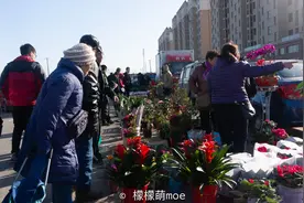 山东这些城市外号，一个比一个牛，看懵外地人图片