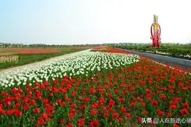 五：来噻！南京江宁欢迎你！这10个乡村游景点，你来过几个？图片