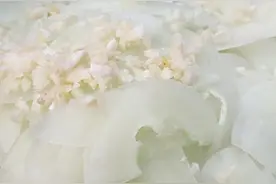 引起温室黄瓜霜霉病的发病原因是什么？图片