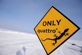 八卦车谈｜经常看到车上贴的“壁虎”，你可知道背后大佬是谁么？图片