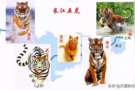 安庆：醒醒！从来就没有什么长江五虎之说图片