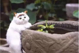 “猫奴”自古有之：“深度吸猫患者”明世宗的养宠之路图片