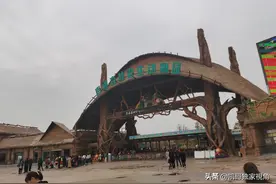 有人说南通森林动物园比上海动物园还要好玩，真的吗？看看吧图片