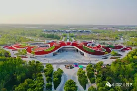 第十届花博会 | 世纪馆大变身 五彩斑斓“彩蝶”起舞图片