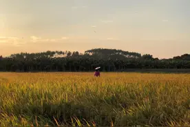 拍照时，如何兼顾整体和细节？这些普通人拍的好照片值得学习图片