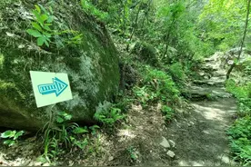 好诡异！独自徒步空无一人的秦岭大山，突然出现一栋荒废的老屋图片