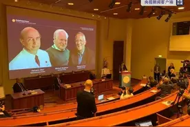 一文看懂2020年诺贝尔医学奖贡献：发现丙型肝炎病毒图片