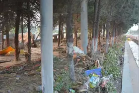 好消息，河南暴雨灾后补助每亩50元图片