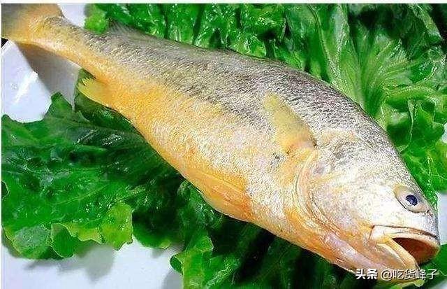 黄花鱼与黄姑鱼区别图片 黄花鱼与黄姑鱼区别图片大全