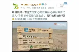 支付宝搞事情？偷能量种树都是假的？图片