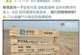 支付宝搞事情？偷能量种树都是假的？图片