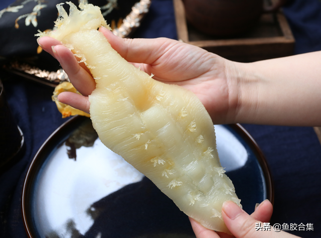 大口赤嘴鱼胶怎么泡发 大口赤嘴鱼胶怎么泡发好吃 大口赤嘴鱼胶怎么泡发 大口赤嘴鱼胶怎么泡发好吃