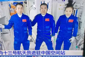 好大一棵树图片