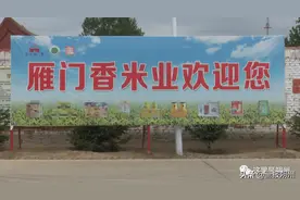 山阴县：特色油果果拓宽致富路图片