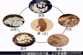 大白话说中医第四十六期｜湿毒不去，脾胃就虚图片