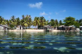 世界上最后一只海洋游牧民族——巴瑶族图片