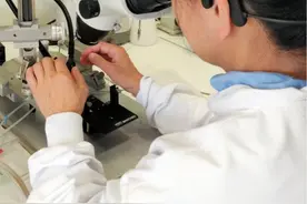 “研究村”里的牺牲品：这个国家不欢迎理科女图片