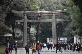 第1011回：世界第一高晴空塔，明治神宫安座百年图片