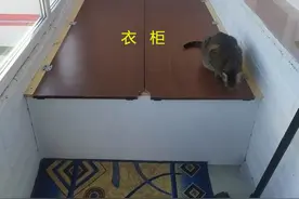 捡回别人家不要的柜子，花了2个小时改造，休闲收纳全都行，赚了图片