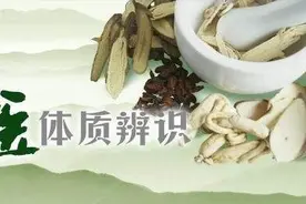 中医基础理论——体质（一）图片