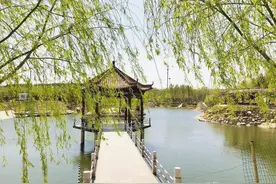 鲜美四季丨乘着春风出游，在莱州遇见一个有趣又诗意的春天~图片