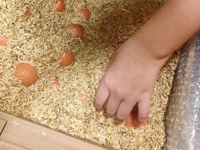 养分含量超高的营养土，自己在家也能做，省下一大笔 买花钱