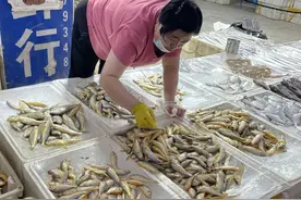 烟台开海第二天，海鲜丰富，价格有升有降图片