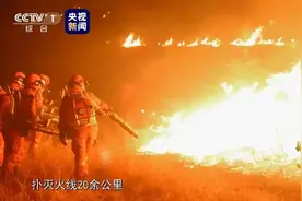 致敬！五位山东籍扑火烈士当选感动中国2019年度人物图片