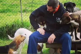 招猫招狗体质是什么体验图片